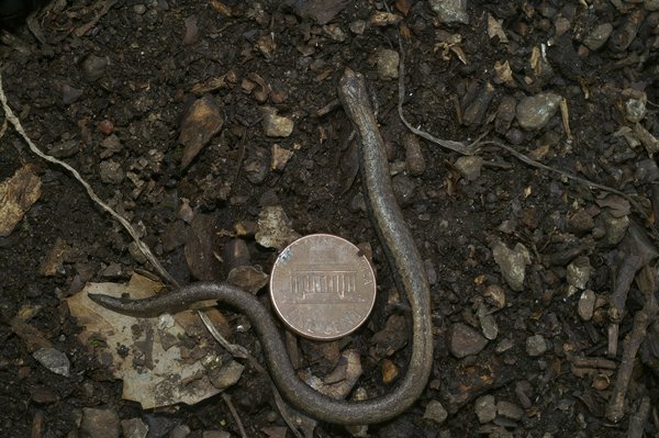 Comment choisir entre les frameworks Angular, React et Vue pour un nouveau projet web?